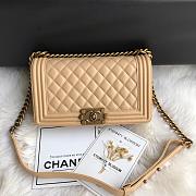 Chanel Leboy Lambskin Beige Gold 25cm - 1