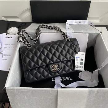 Chanel Flap Bag Lambskin Silver Hardware Size 25 cm