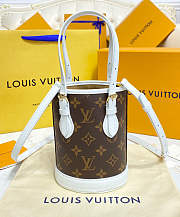 Louis Vuitton LV Nano Bucket Brown 13 x 17 x 9 cm - 4