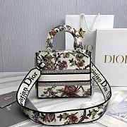 Dior Lady D-lite Multicolor Jardin Botanique Bag 24 x 20 x 11 cm - 5