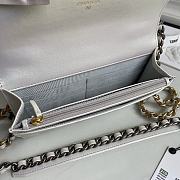 Chanel 19 Wallet On Chain Metallic 19cm - 3