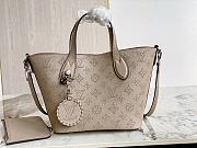 Louis Vuitton LV Blossom PM Bag Grey Galet 20 x 20 x 12.5 cm - 1