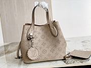 Louis Vuitton LV Blossom PM Bag Grey Galet 20 x 20 x 12.5 cm - 5