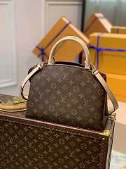 Louis Vuitton LV Petit Palais Monogram 29 x 18 x 12.5 cm - 6