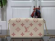 Louis Vuitton LV Felicie Pochette Monogram Rose 21 x 12 x 3 cm - 4