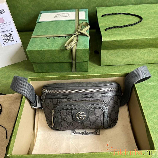Gucci Ophidia Belt Bag In Grey 23x12x2.5cm - 1