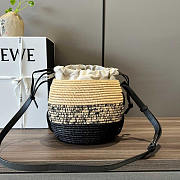 Loewe X Paula’s Ibiza Beehive Basket Bag 22x12x22cm - 6