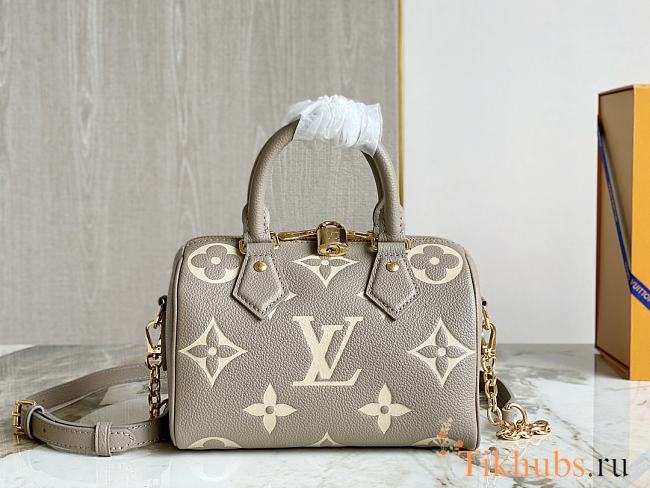 Louis Vuitton LV Speedy 20 Grey 20.5 x 13.5 x 12 cm - 1