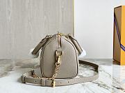 Louis Vuitton LV Speedy 20 Grey 20.5 x 13.5 x 12 cm - 6