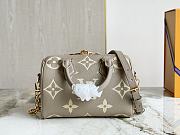 Louis Vuitton LV Speedy 20 Grey 20.5 x 13.5 x 12 cm - 4