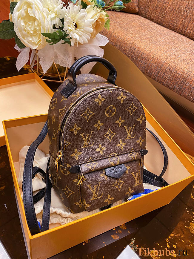 Louis Vuitton Mini Backpack Palm Springs 17x22x10cm - 1