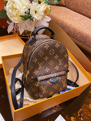 Louis Vuitton Mini Backpack Palm Springs 17x22x10cm