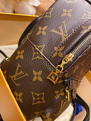 Louis Vuitton Mini Backpack Palm Springs 17x22x10cm - 5