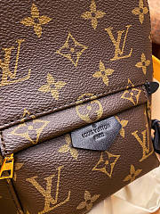 Louis Vuitton Mini Backpack Palm Springs 17x22x10cm - 3