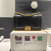 Chanel LeBoy Python Skin Shoulder Bag Black Gold 25cm - 1