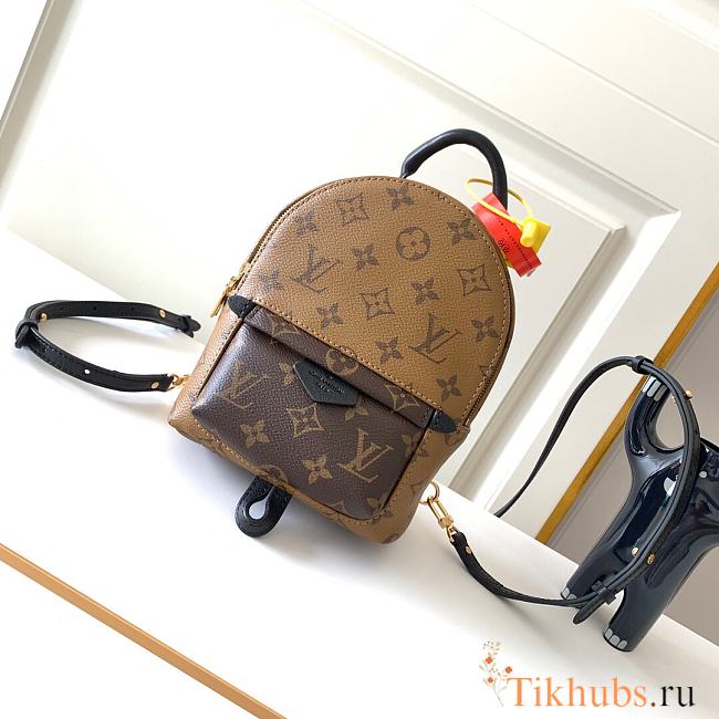 Louis Vuitton LV Mini Backpack Palm Springs Brown 22x17x10cm - 1