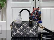 Louis Vuitton LV Nano Speedy Grey 16x11x9cm - 1