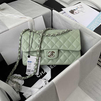 Chanel Classic Flap Small Bag Caviar Silver Light Green 23cm