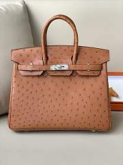 Hermes Birkin 25 Brown Ostrich Leather Silver Buckle 25cm - 1