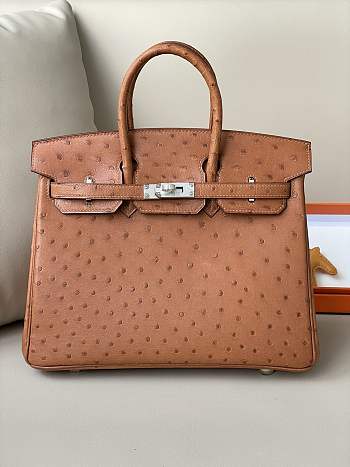 Hermes Birkin 25 Brown Ostrich Leather Silver Buckle 25cm