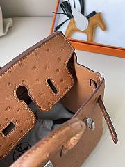 Hermes Birkin 25 Brown Ostrich Leather Silver Buckle 25cm - 5