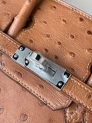 Hermes Birkin 25 Brown Ostrich Leather Silver Buckle 25cm - 2