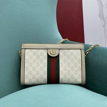 Gucci Ophidia GG Small Shoulder Bag 26x17.5x8cm