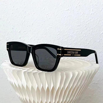 Dior Diorsignature S7F Black Square Sunglasses
