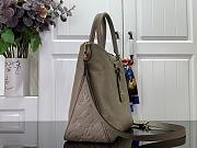 Louis Vuitton LV Trianon MM Gray 36x22x9cm - 5