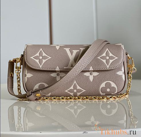 Louis Vuitton LV Ivy Wallet On Chain Grey 23.5 x 12 x 4.3 cm - 1