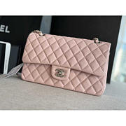 Chanel Medium Classic Double Flap Bag Light Pink Silver 25cm - 1