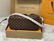 Louis Vuitton LV Braided Neverfull MM Damier 31 x 28 x 14 cm - 3