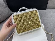 Chanel Vanity Case White Gold Limited Edition 17cm - 2