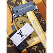 Louis Vuitton LV Monogram Confidential Long Scarf Brown 120x8cm - 3