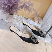 Manolo Blahnik Black Flat - 1