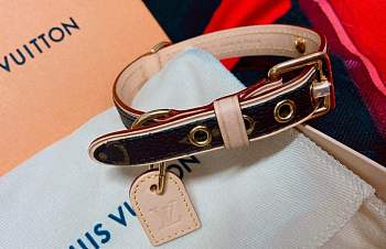 Louis Vuitton LV PM Collar 33.2 x 1.4 x 0.5 cm