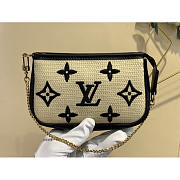 Louis Vuitton LV Mini Pochette Accessoires 15.5 x 10.5 x 4 cm - 1