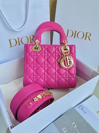 Dior Small Lady My ABC Bag Rani Pink Cannage Lambskin 20 x 17 x 8 cm