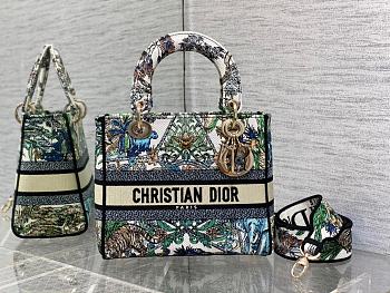 Dior Lady D-lite Bag White Multicolor Étoile 24cm