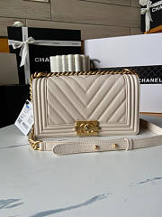 Chanel Leboy Chevron White Caviar Gold 25cm - 1