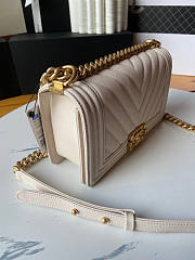 Chanel Leboy Chevron White Caviar Gold 25cm - 4