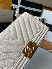 Chanel Leboy Chevron White Caviar Gold 25cm - 2