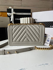 Chanel Leboy Chevron Grey Caviar Gold 25cm - 6