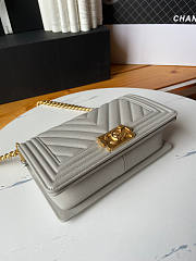 Chanel Leboy Chevron Grey Caviar Gold 25cm - 4