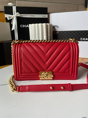 Chanel Leboy Chevron Red Caviar Gold 25cm