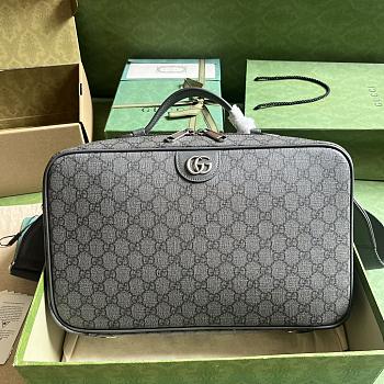 Gucci Ophidia GG Shoe Case Grey 22x36x16cm
