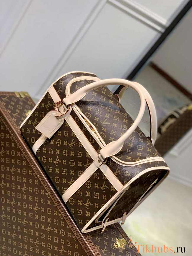 Louis Vuitton LV Pet 40x23x29cm  - 1