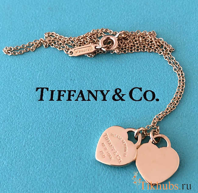 Tiffany & Co Necklace 02 - 1