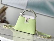 Louis Vuitton LV Mini Capucines Green 21 x 14 x 8 cm - 1