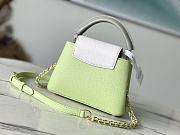 Louis Vuitton LV Mini Capucines Green 21 x 14 x 8 cm - 4